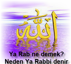 Ya Rab ne demek Neden Ya Rabbi denir