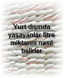 Yurt disinda yasayanlar fitre miktarini nasil belirler