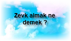 Zevk almak ne demek