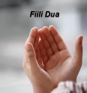 fiili dua nedir