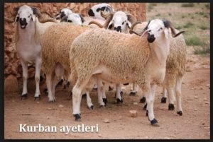 kurban ayetleri 1