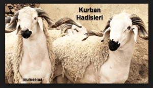 kurban hadisleri