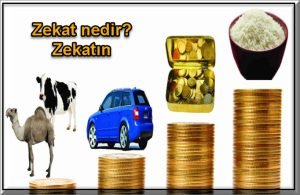 zekat nedir zekatin onemi