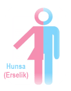 Hunsa Erselik