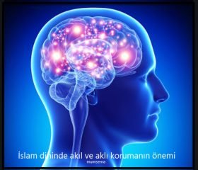 Islam dininde aklin onemi kisaca