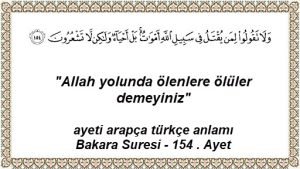 Allah yolunda olenlere oluler demeyiniz ayeti