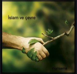 islam ve cevre