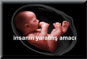 insanin yaratilis amaci