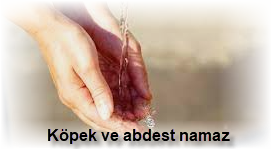 Kopek ve abdest namaz