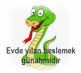 evde yilan beslemek caiz mi