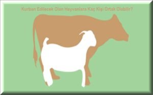 Kurban Edilecek Olan Hayvanlara Kac Kisi Ortak Olabilir