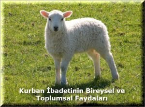 Kurban Ibadetinin Bireysel ve Toplumsal Faydalari