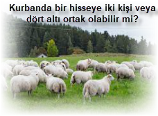 Kurbanda bir hisseye iki kisi veya dort alti ortak olabilir mi