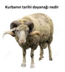 Kurbanin tarihi dayanagi nedir