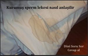 Kurumus sperm lekesi