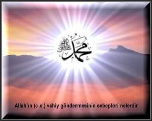 Allahin c.c. vahiy gondermesinin sebepleri nelerdir