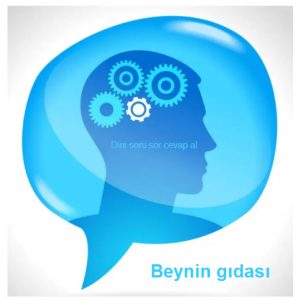 Beynin gidasi nedir