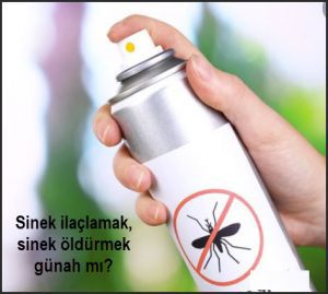 Sinek ilaclamak sinek oldurmek gunah mi