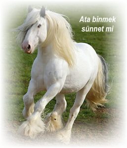 ata binmek sunnet mi