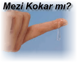 Mezi Kokar mi