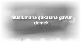 Muslumana sakasina gavur demek