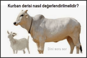 Kurban derisi nasil degerlendirilmelidir