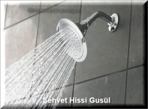 Sehvet Hissi Gusul