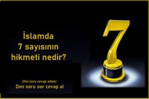 7 sayisinin hikmeti nedir