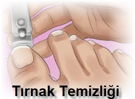 Tirnak Temizligi