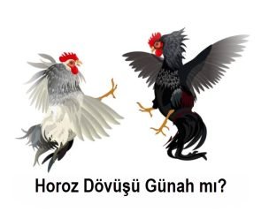 Dovus Horozu Satmak Gunah mi