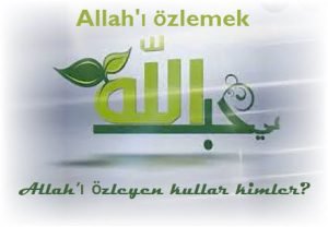 Allahi Nasil Sevebilir ve Ona Nasil Ozlem Duyabiliriz