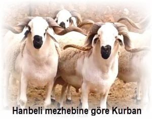 Hanbeli mezhebine gore Kurban