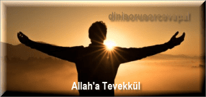 Allaha Tevekkul