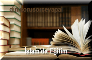 Islamda Egitim