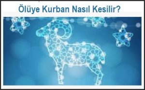 Oluye Kurban Nasil Kesilir nasil niyet edilir