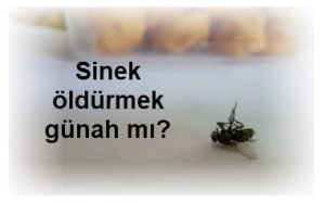 Sinek oldurmek gunah mi