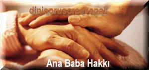 Ana Baba Hakki