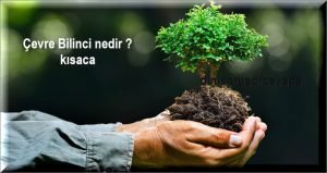 Cevre Bilinci nedir kisaca