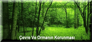 Cevre Ve Ormanin Korunmasi