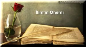 Ilimin Onemi