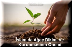 Islamda Agac Dikimi Ve Korunmasinin Onemi