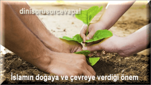 Islamin dogaya ve cevreye verdigi onem