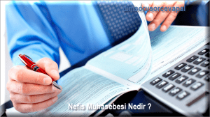 Nefis Muhasebesi Nedir