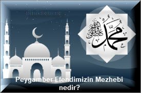 Peygamber Efendimizin Mezhebi nedir