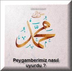 Peygamberimiz nasil uyurdu