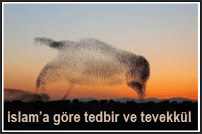 islama gore tedbir ve tevekkul