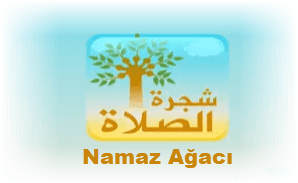 Namaz Agaci