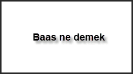 Baas ne demek 1