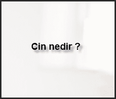 Cin nedir