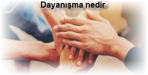 Dayanisma nedir